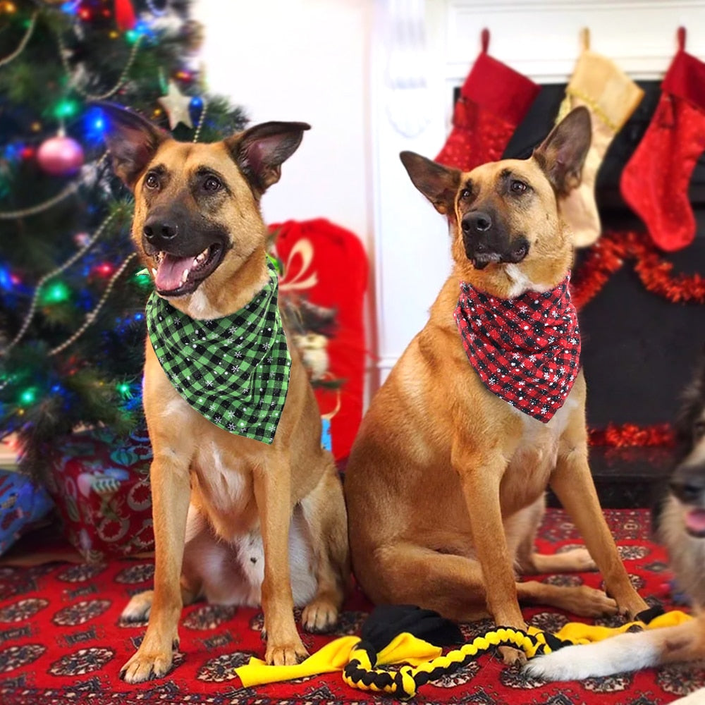 festive dog bandana