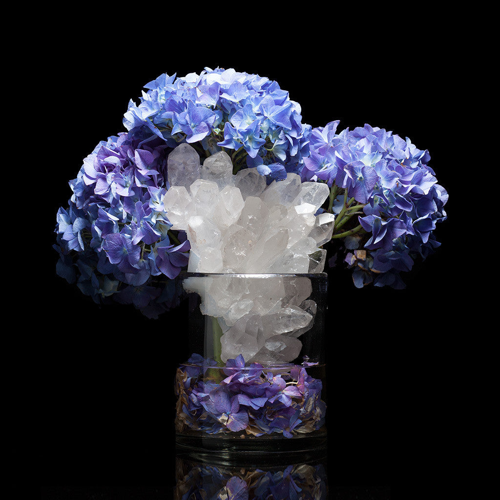 Image of Violet hydrangea in vase