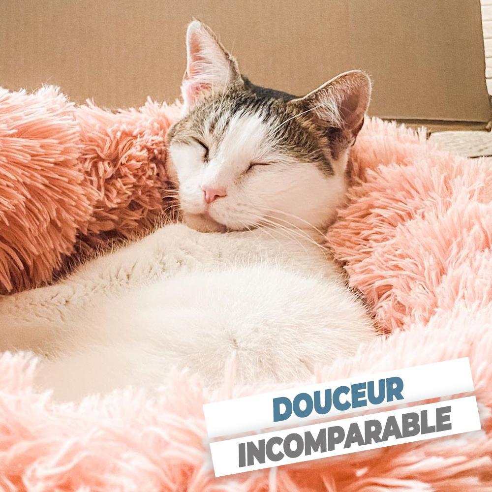 Coussin Pour Chats Softy Catsimo