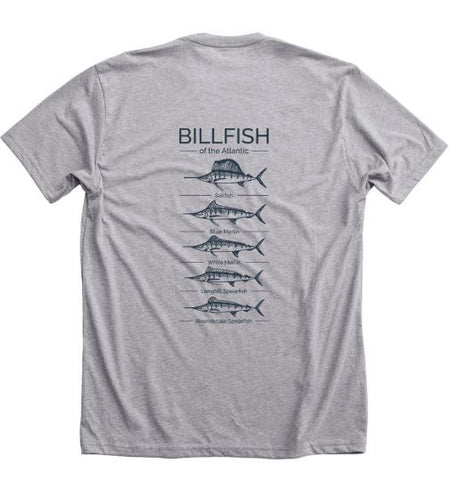 Support Billfish Conservation! – The Billfish Foundation