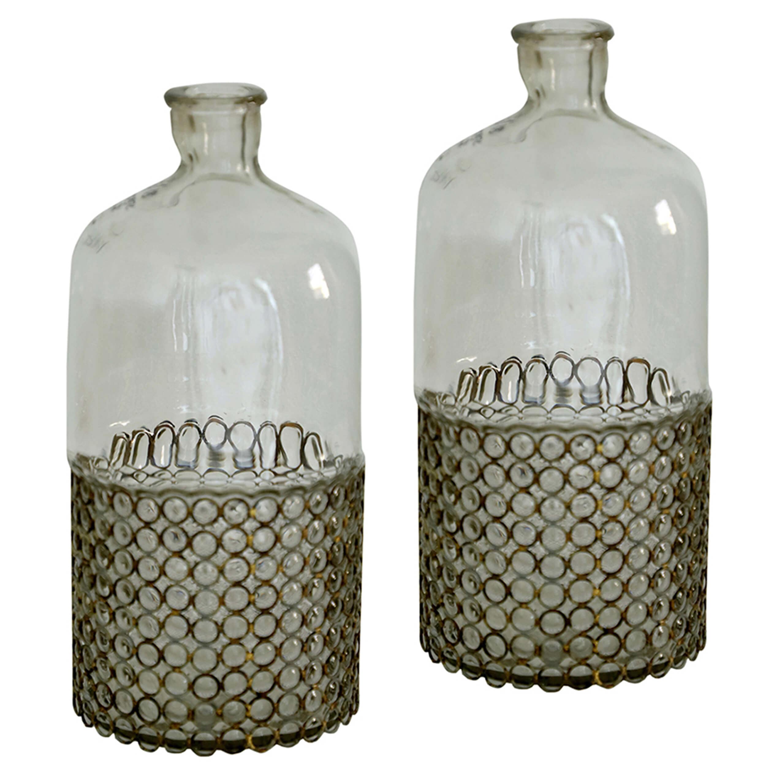 Image of Reya Glass Bottle Vase, Set of 2