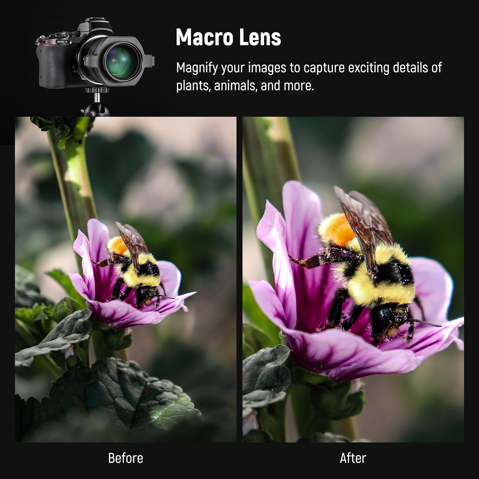 NEEWER Lente gran angular compatible con cámara Canon G7X Mark  III, 2 en 1 de 0.709 in HD gran angular y lente macro adicional 10x con  tubo de extensión, adaptador de