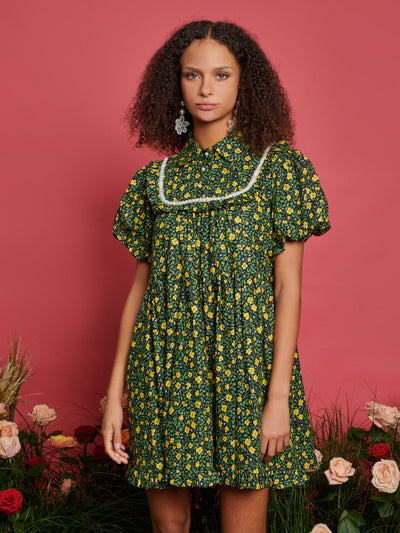 Garden Tapestry Mini Dress – Sister Jane