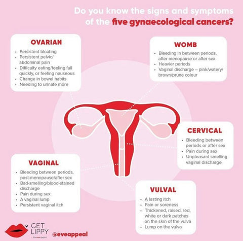 illustration of a womb showing the 5 types of gynae cancers