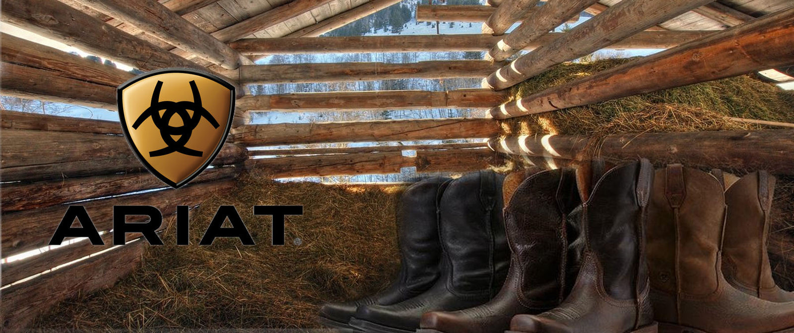 How to Clean your Ariat Boots! Pet n 
