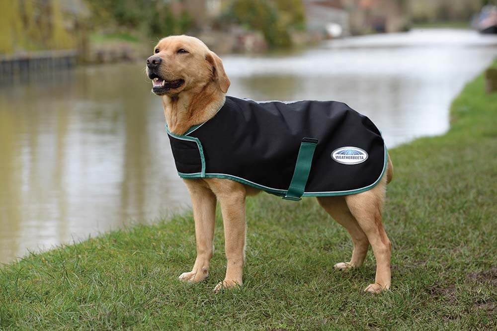 Weatherbeeta Green-Tec Dog Coat