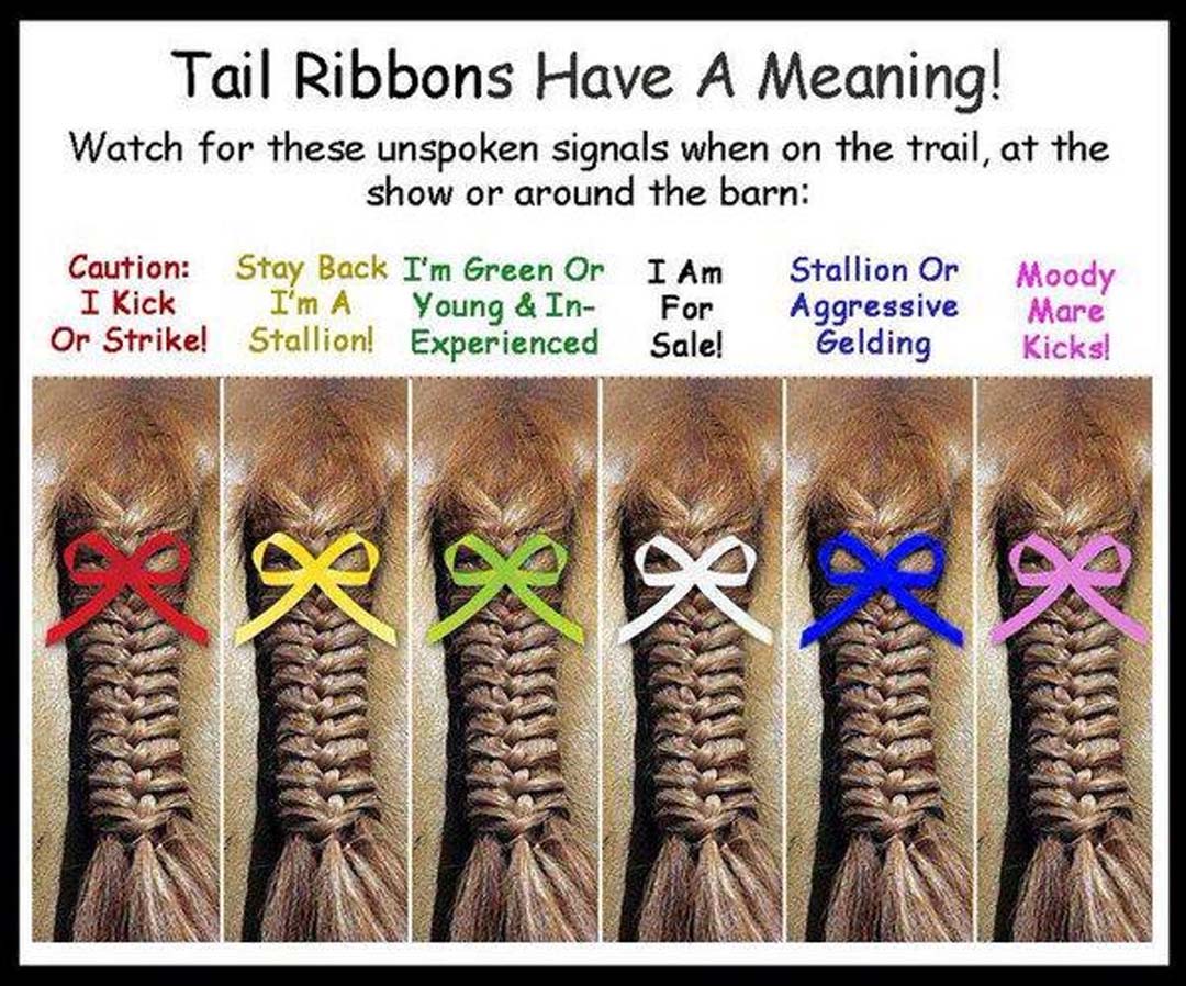 tail ribbons