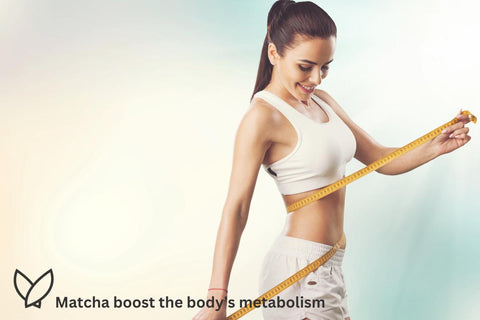 Matcha boost the body’s metabolism