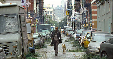 i am legend, new york, new york city