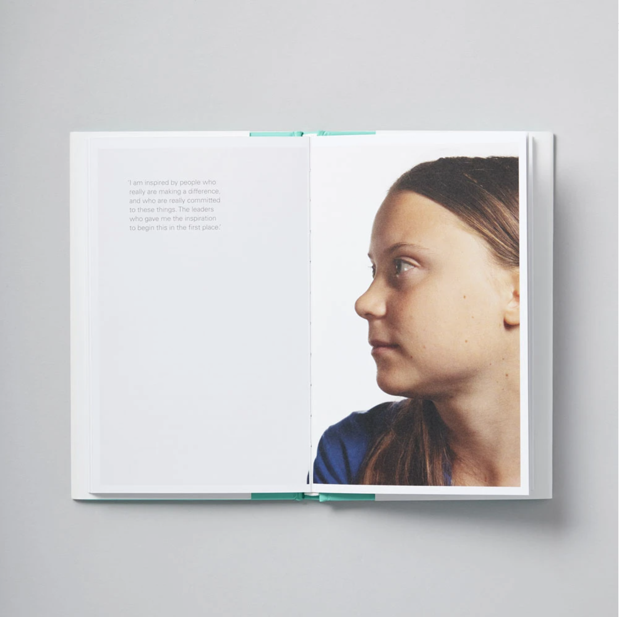 greta thunberg book no one is too small