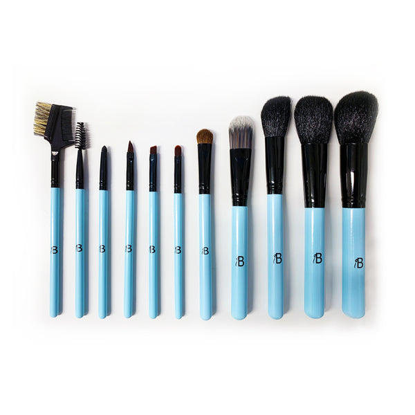 11pc IB Essential Luxury Makeup Brush Set 2