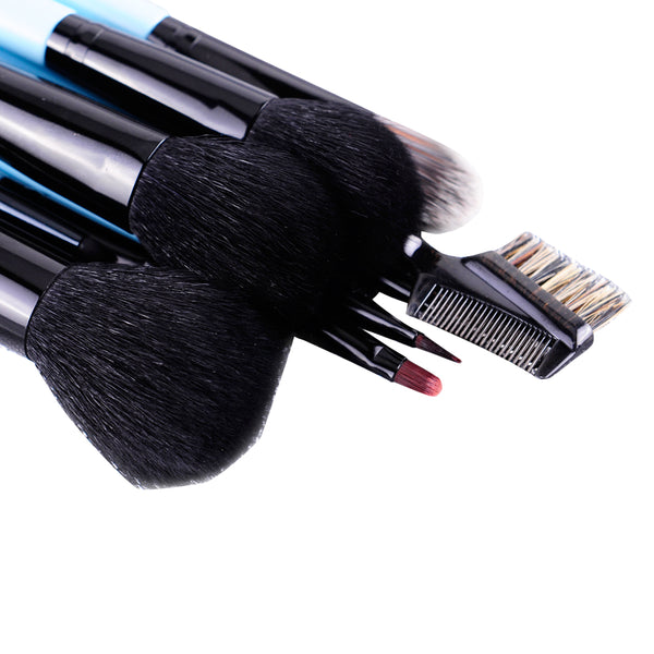 11pc IB Essential Luxury Makeup Brush Set 4
