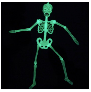 Halloween Hanging Glow In The Dark Skeleton 0