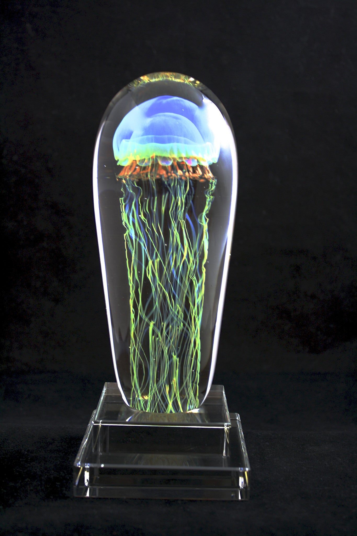 Satava Art Glass Medium Jellyfish