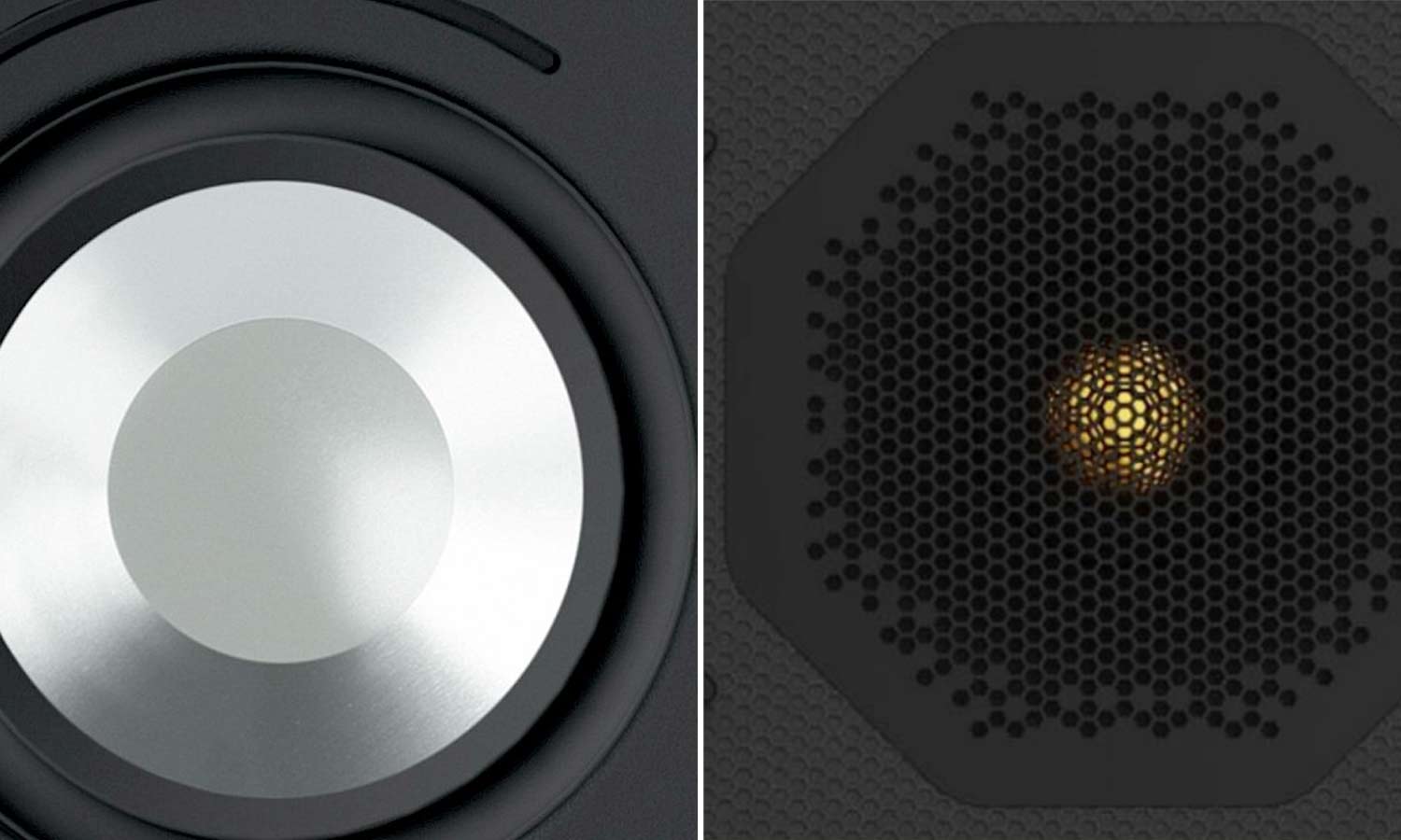 CCAM-mid-bass-and-CCAM-gold-dome-tweeter