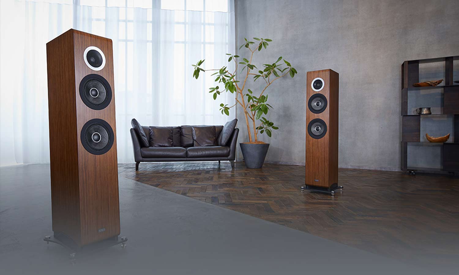 TAD Evolution 2 speakers
