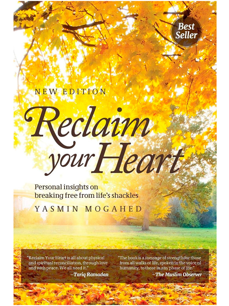 reclaim your heart book buy