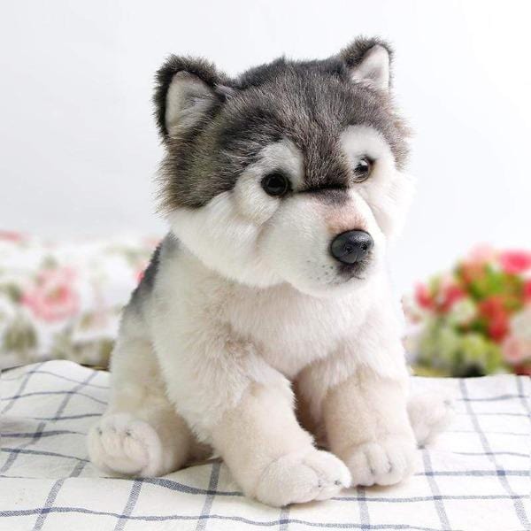 Peluche Chien Loup Off 63 Www Bashhguidelines Org