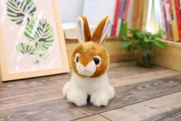 peluche pour lapin nain