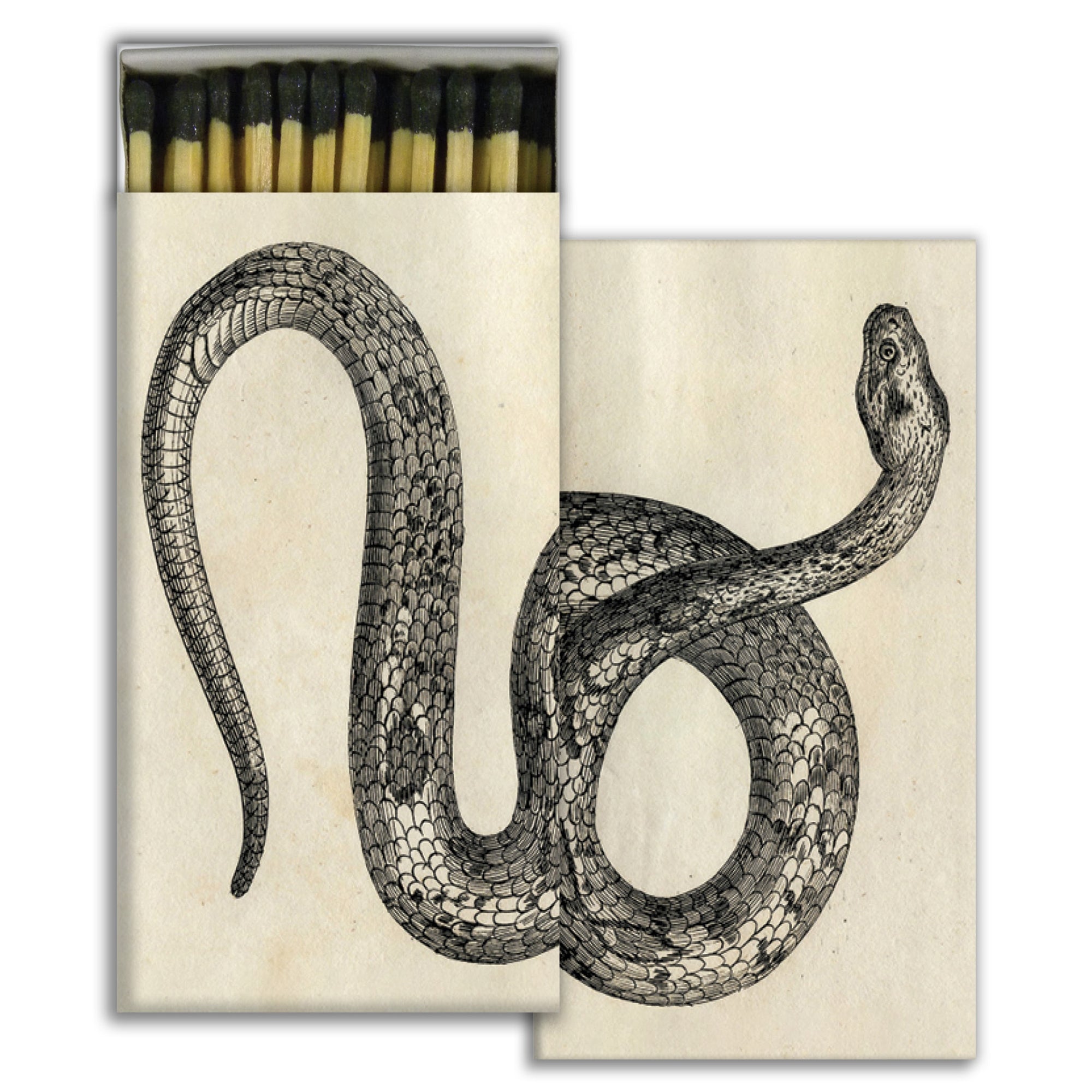 Image of Matches - Snake