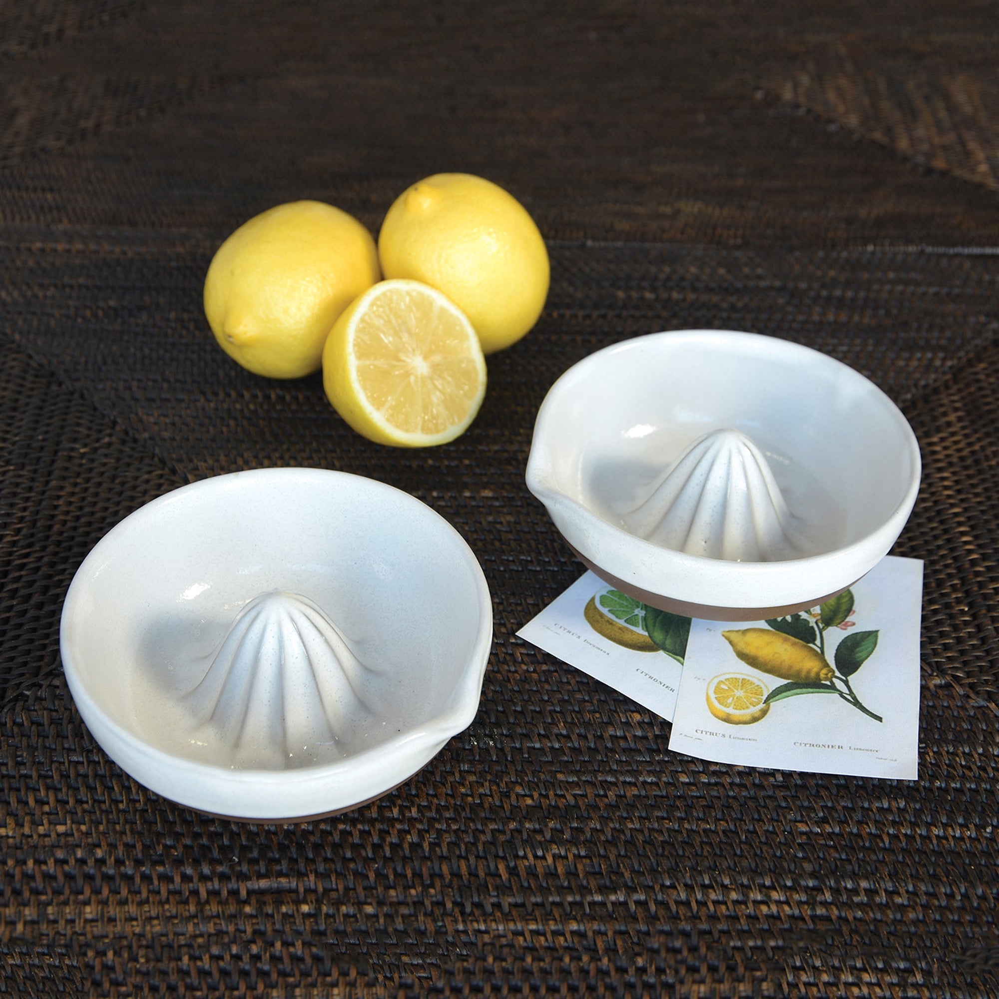 Liam Ceramic Citrus Reamer