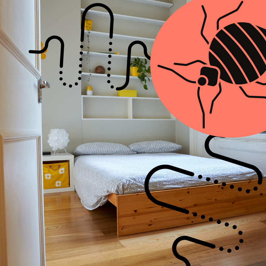 will bed bugs travel to other rooms