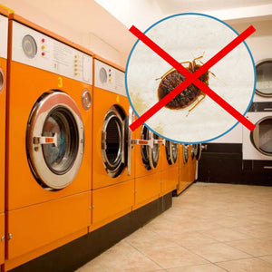 do bed bugs die in the washing machine