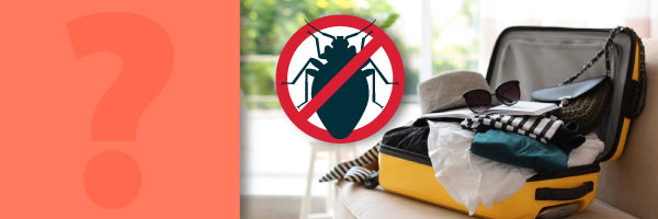 How to kill bed bugs in luggage, backpacks, purses and more