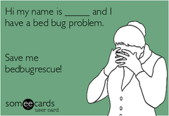 More people need to talk about bed bugs