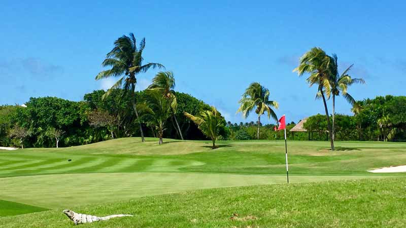 Iberostar Cancun Golf Club, golf mexico,  - Golf  Mexico Tee Times
