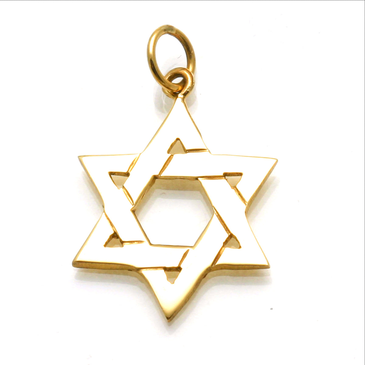 14k Yellow & White Gold Jewish Star of David Pendant 3D