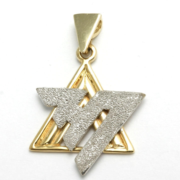 14k Yellow & White Gold Jewish Star of David Chai Pendant