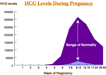Hcg Human Chorionic Gonadotropin The Pregnancy Hormone The Gender Experts