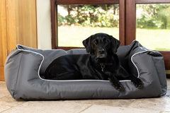 Recommended Beds For Large Dogs