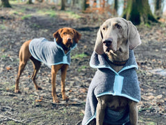 Henry Wag dog drying robe 