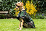 Dog coats help reduce drying and cleaning time for dog owners