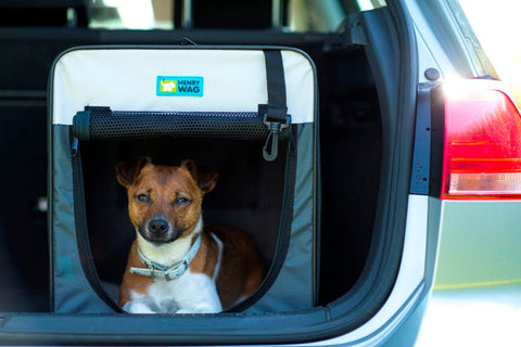 Dog crate for travelling with terrier inside