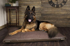 Comfortable Beds For Big Dogs