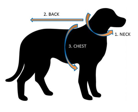 Where Do You Measure A Dogs Chest