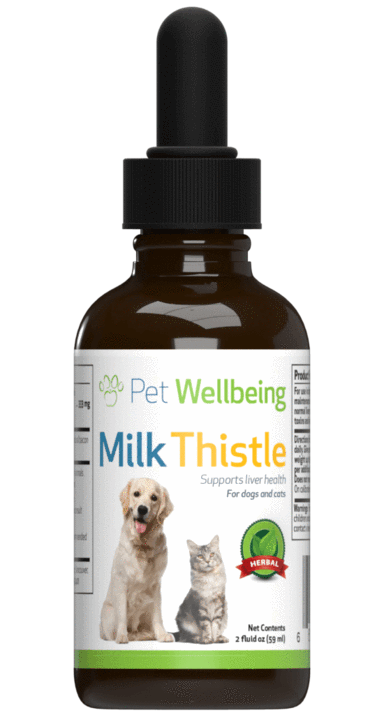 Milk Thistle For Dogs