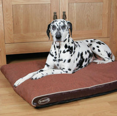 Large Dog Bed Reviews To Buy Online