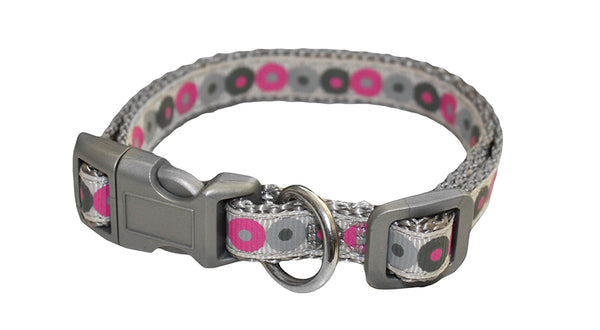 puppy collar and lead