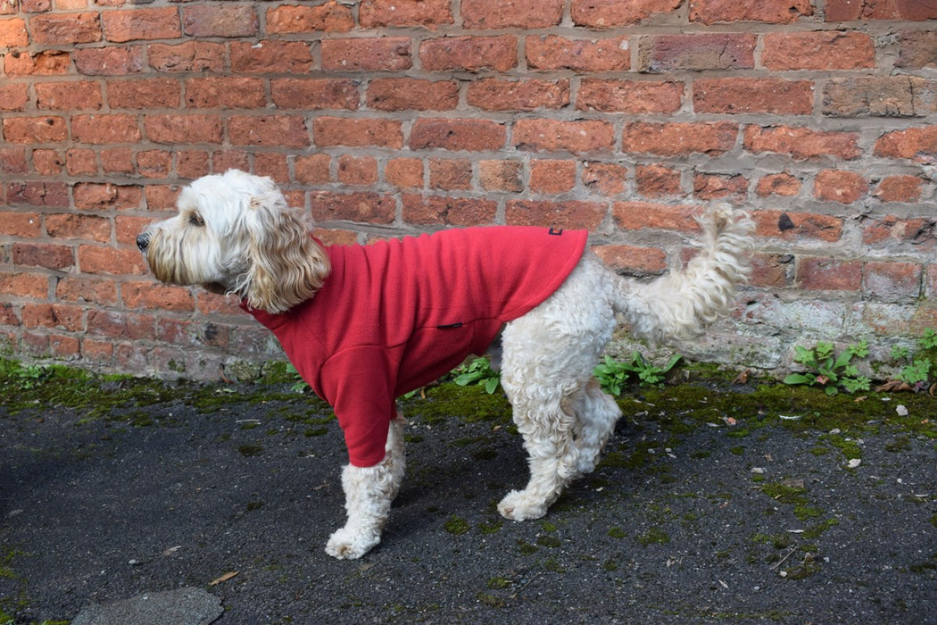 dog fleece jumper