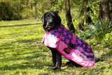 Waterproof dog coat on Labrador