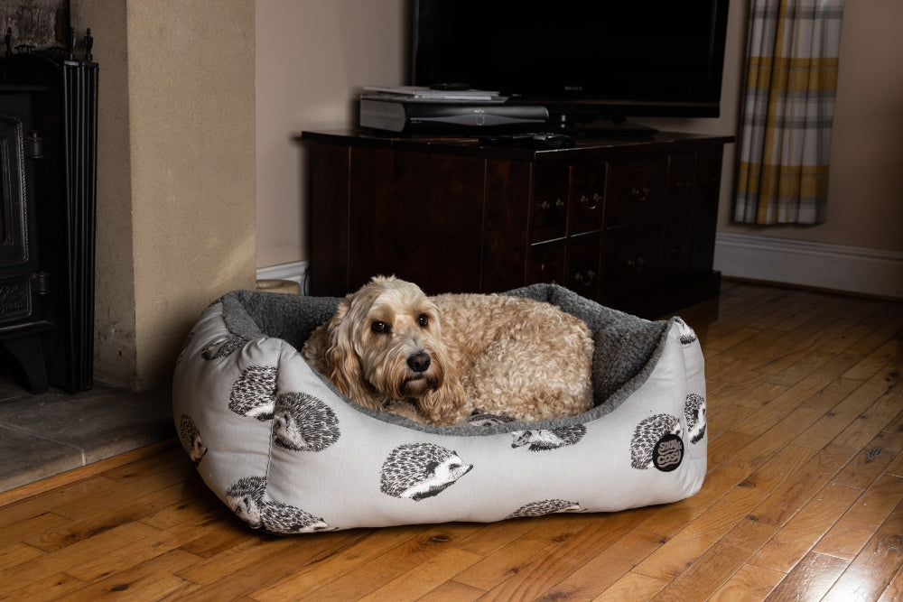 treat a dog bed