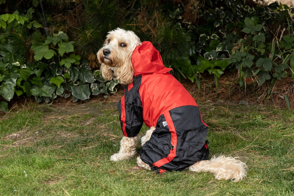 dog waterproof trouser suit