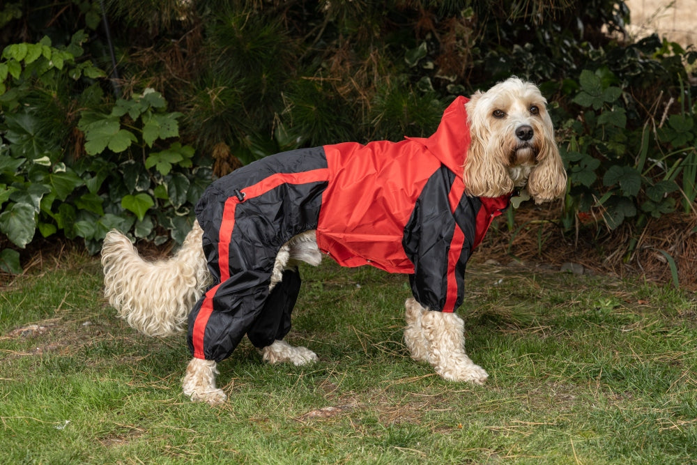Trouser Suit Waterproof Dog Coat | ubicaciondepersonas.cdmx.gob.mx