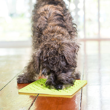 Lickimat Buddy Deluxe Treat Mat For Dogs & Cats