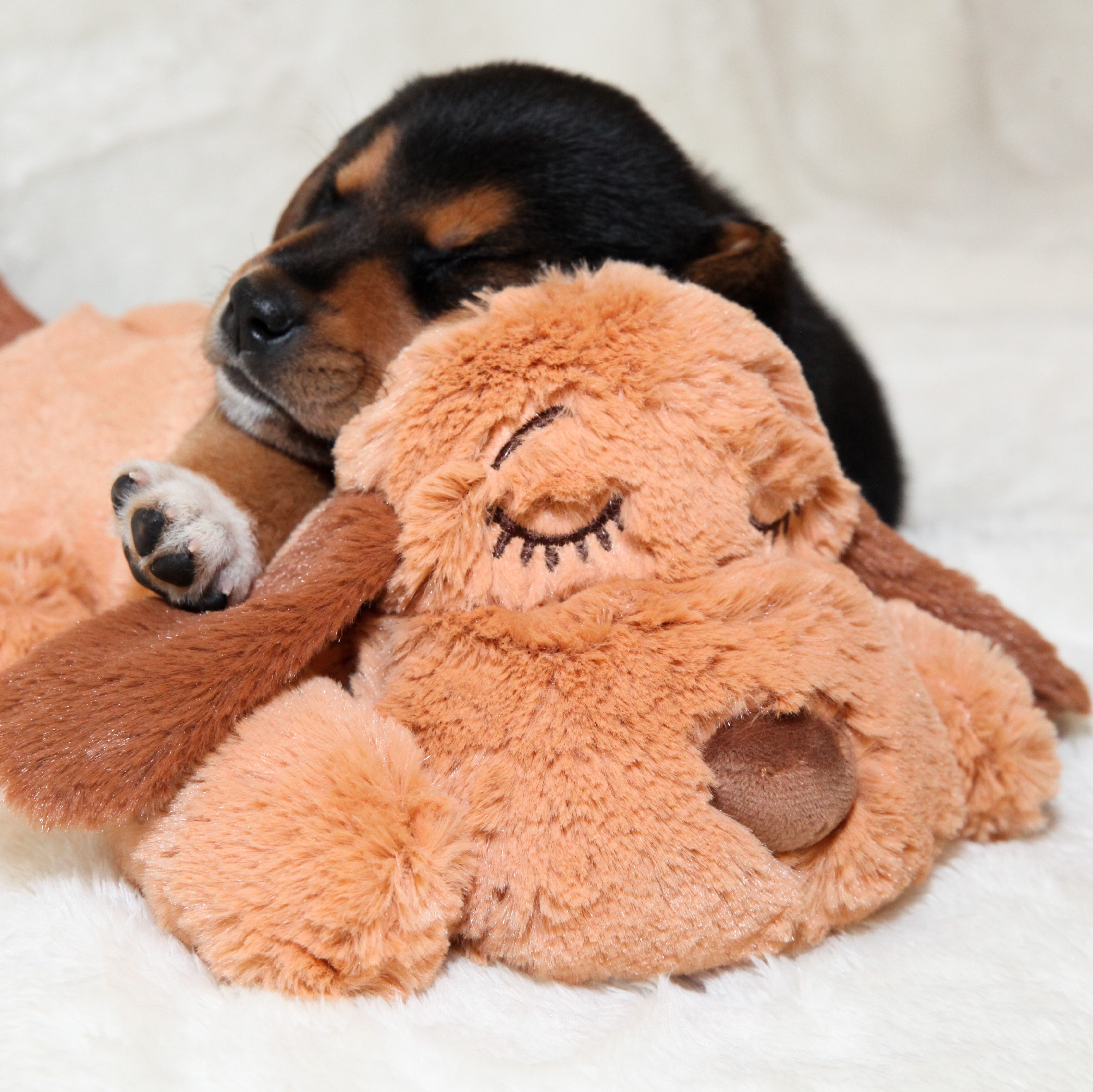 stuffed puppy with heartbeat