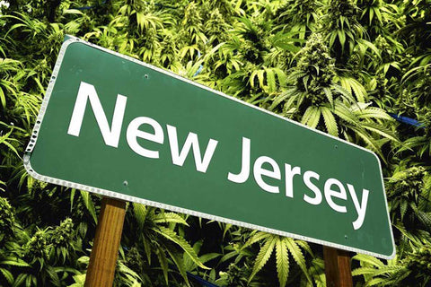 new jersey cannabis laws legalization